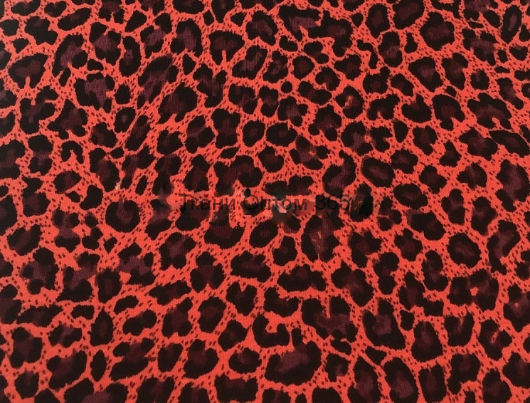 Кулирная гладь Леопард на красном фоне 