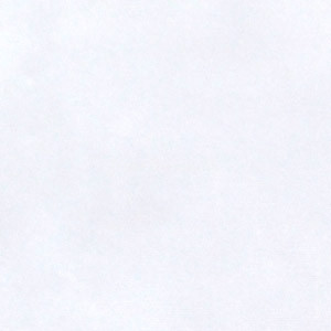 Ткань подкладочная Таффета 190Т  Белая  