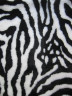 Искусственный мех  зебра  